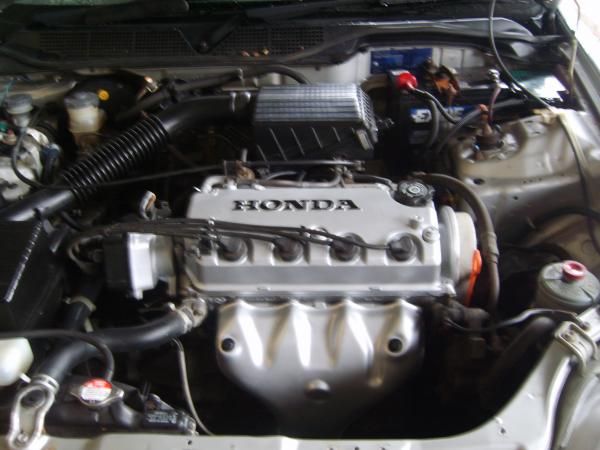 Civic Engine 003