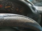 20200308_161308.jpg